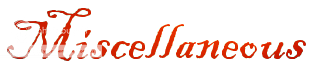 User Image